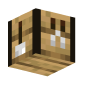 3D Render Back