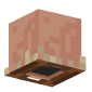 3D Render Back