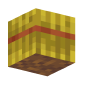 3D Render Back
