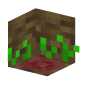 3D Render Back