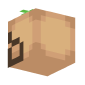 3D Render Back