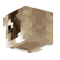 3D Render Back