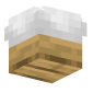 3D Render Back