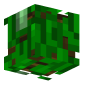 3D Render Back
