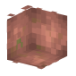 3D Render Back