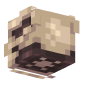 3D Render Back