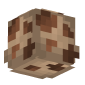 3D Render Back