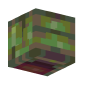 3D Render Back