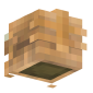 3D Render Back