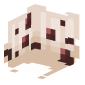 3D Render Back