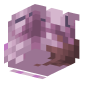 3D Render Back