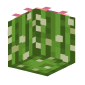 3D Render Back