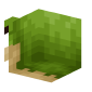 3D Render Back