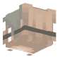 3D Render Back