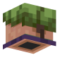 3D Render Back