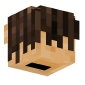 3D Render Back