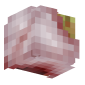 3D Render Back