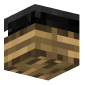 3D Render Back