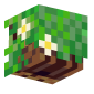 3D Render Back