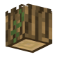 3D Render Back