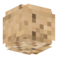 3D Render Back