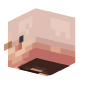 3D Render Back
