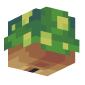 3D Render Back