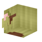 3D Render Back
