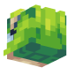 3D Render Back