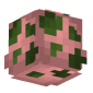 3D Render Back