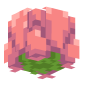 3D Render Back