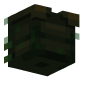 3D Render Back