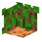 3D Render Back