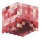 3D Render Back
