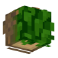 3D Render Back