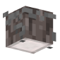 3D Render Back