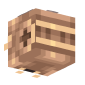 3D Render Back