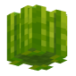 3D Render Back