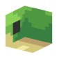3D Render Back