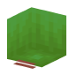3D Render Back
