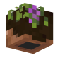 3D Render Back