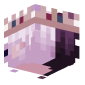 3D Render Back
