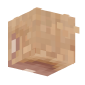 3D Render Back