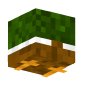 3D Render Back