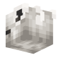 3D Render Back