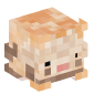 45057-cinnamon-ferret