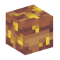 127313-poop
