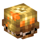 12339-jack-ochica