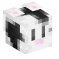 49674-black-and-white-rabbit