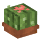 118676-potted-cactus